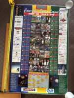 Poster National Soccer League 1993-94