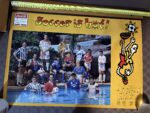 Poster Soccer 1994/95 Soccer is Hot NSL Launch