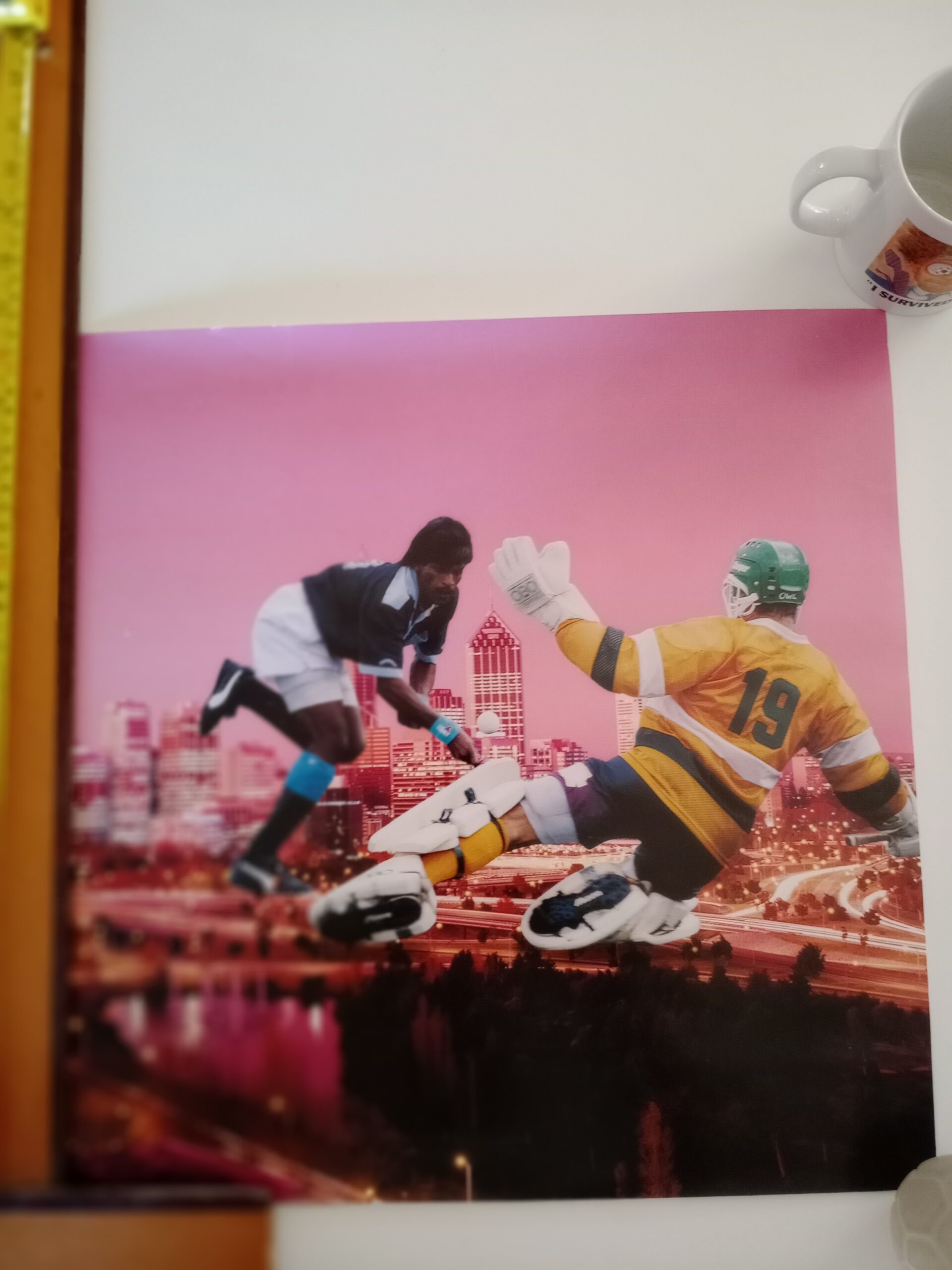 Poster Sports High flyer!, Australian Sports Calendar 1995 - Large Photograph (43cm)